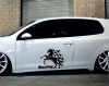 Racing ló tuning matrica (30x42 cm)