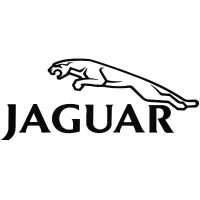 Jaguar matrica