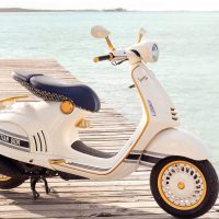 Vespa matrica