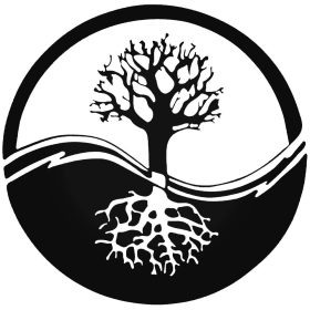 Yin-Yang FA Autómatrica