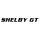 Ford matrica SHELBY GT