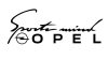 Sports mind opel feliratos matrica