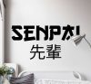 SENPAI falmatrica