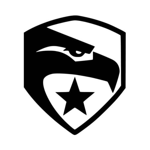 Eagle matrica