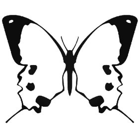 Pillangó 2 autómatrica