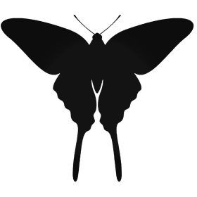 Pillangó 8 autómatrica