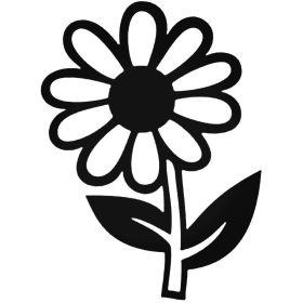 Napraforgó virág matrica